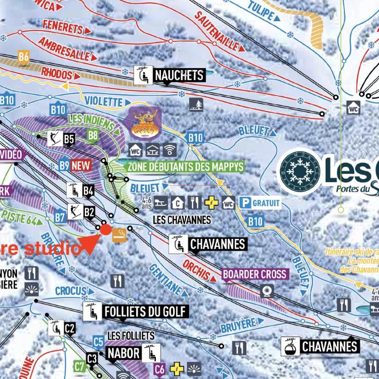 Grand Studio aux pieds des pistes sans vis à vis - Appartamento con 1 Camera da Letto - 10