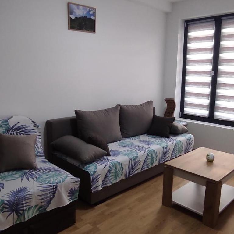 LaNe apartman Sokobanja - Apartman sa 2 Spavaće Sobe - 2