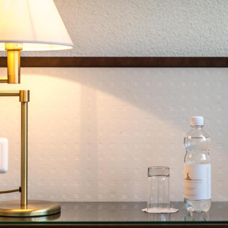 Seehotel Sternen - Zimmer mit Seeblick - 2