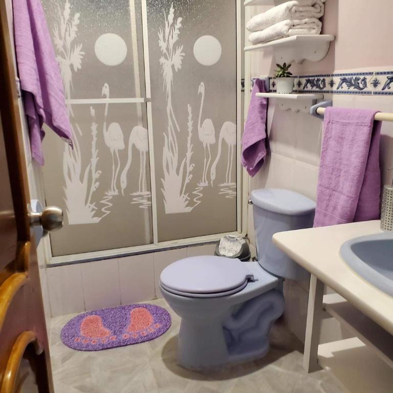 Departamento Puyo Fantastic. - Apartamento de 2 dormitorios - 13