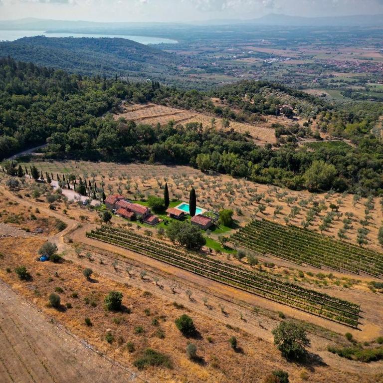 Tenuta Angelici Winery Agriturismo Henni with pool sauna and jacuzzi Cortona - Villa Deluxe - 2