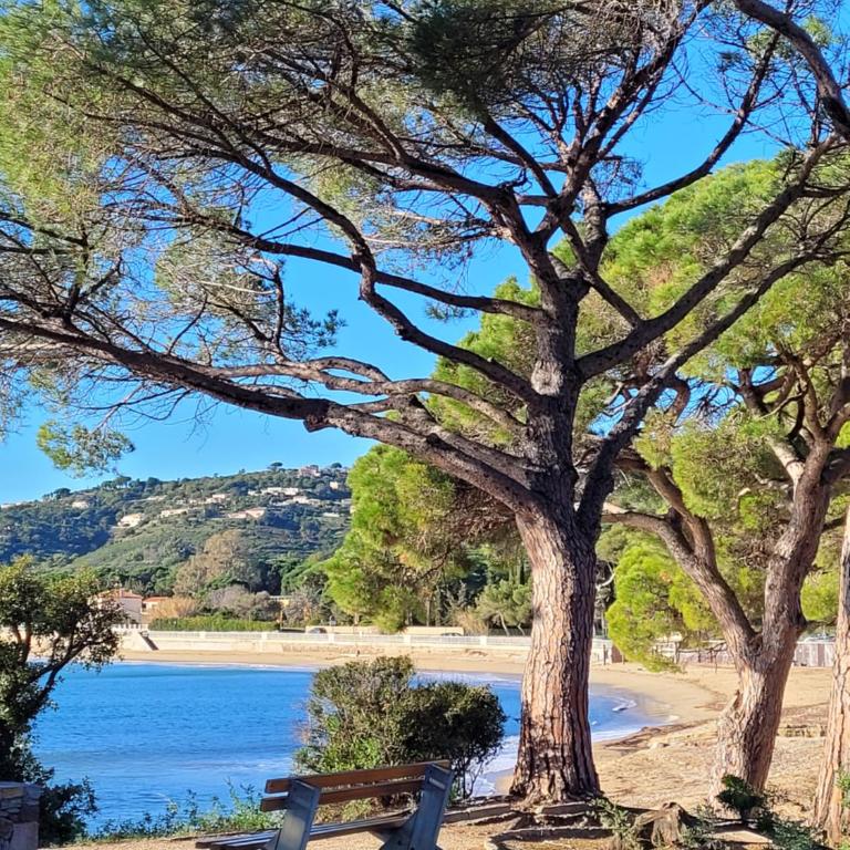 Villa Palm' Issambres 6 personnes, clim, avec piscine, jardin et parking privés - Villa 3 Chambres - 61