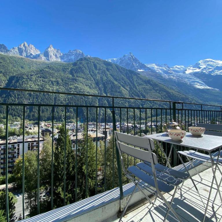 Superbe appartement Chamonix pour 4, balcon, vue Mont Blanc - FR-1-343-209 - Apartment - 4
