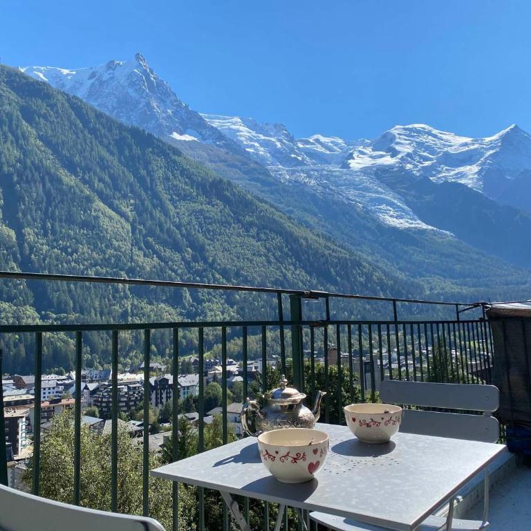 Superbe appartement Chamonix pour 4, balcon, vue Mont Blanc - FR-1-343-209 - Apartment - 8