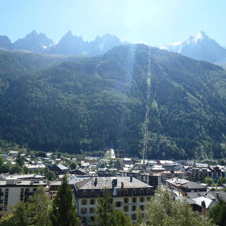 Superbe appartement Chamonix pour 4, balcon, vue Mont Blanc - FR-1-343-209 - Apartment - 10