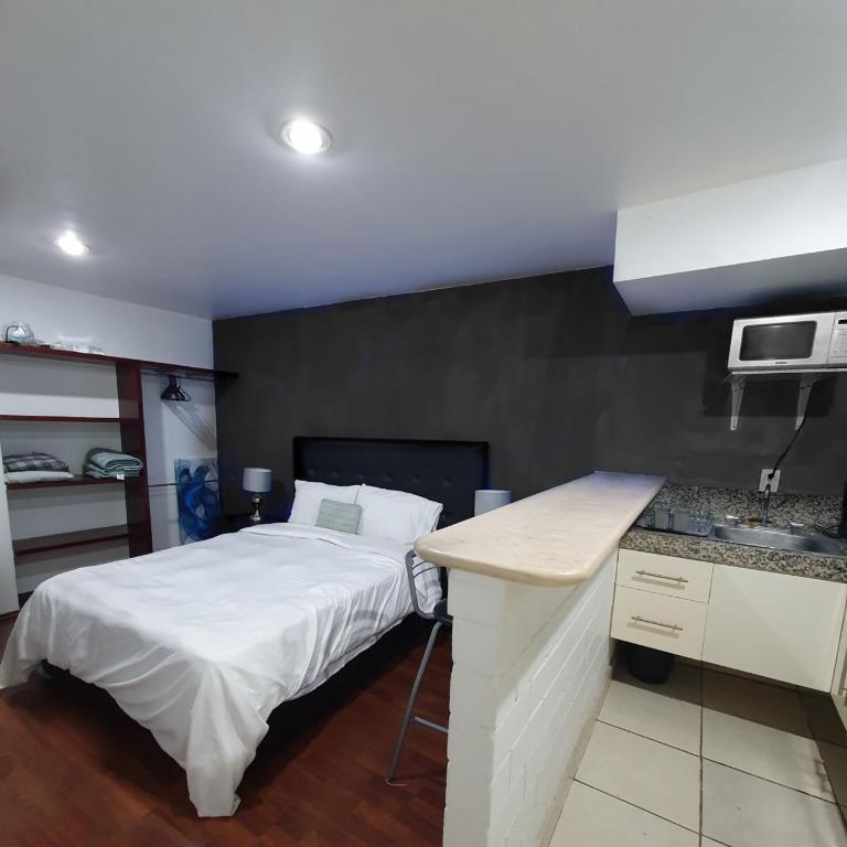 Super Suite con baño y cocina excelente ubicación - Apartamento de 1 dormitorio - 2