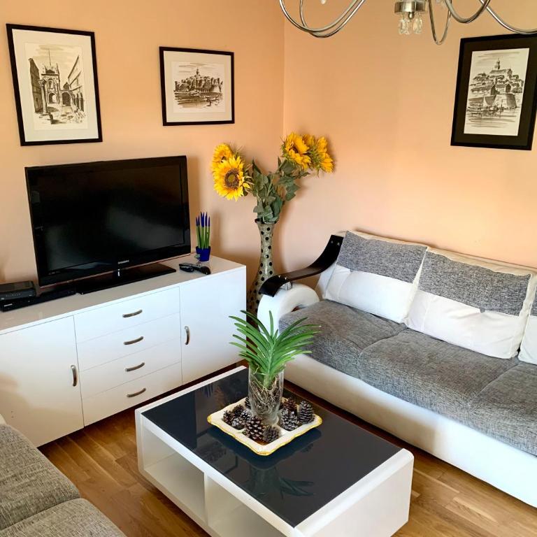 Sunny Apartment Petrovac - Two-Bedroom Apartment - 2