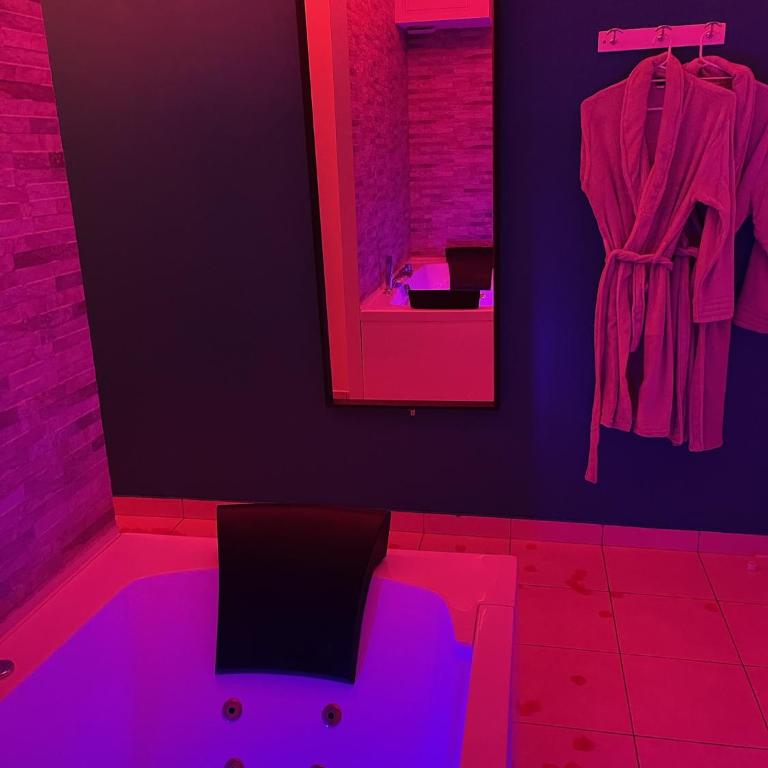 SPA Enzo Appartement avec Jacuzzi Privatif - Apartment mit 1 Schlafzimmer - 3