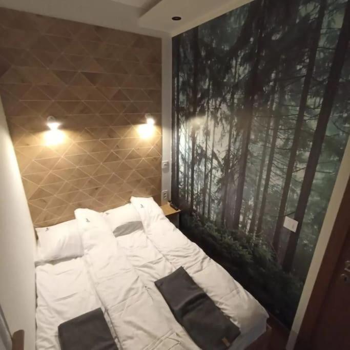 3bears apartman - Apartman sa 1 Spavaćom Sobom - 11