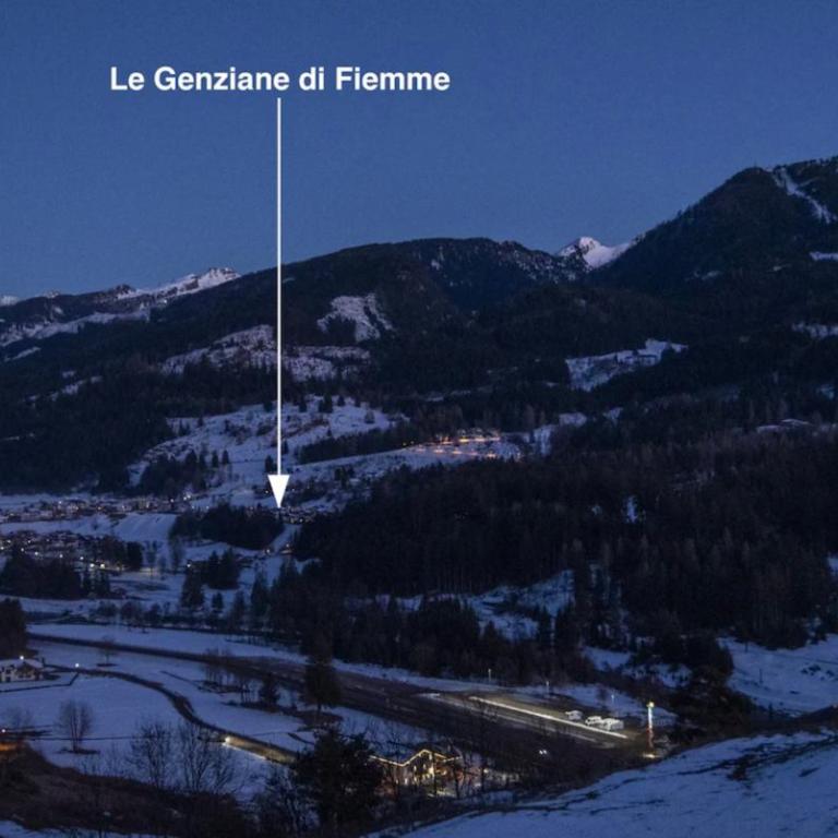 Mansarda Le Genziane di Fiemme - Appartamento con 2 Camere da Letto - 71