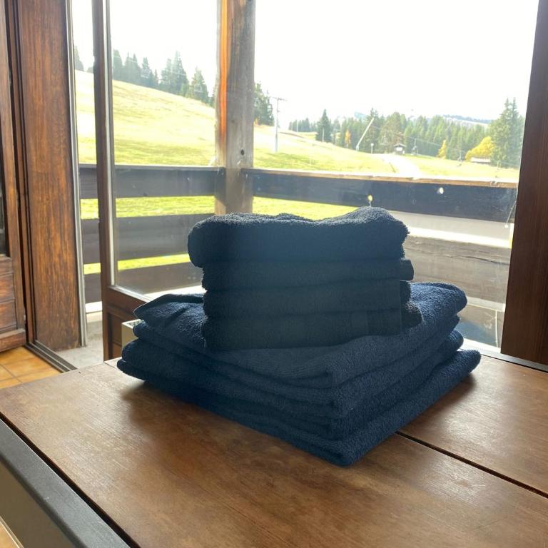 Grand Studio aux pieds des pistes sans vis à vis - Appartamento con 1 Camera da Letto - 5