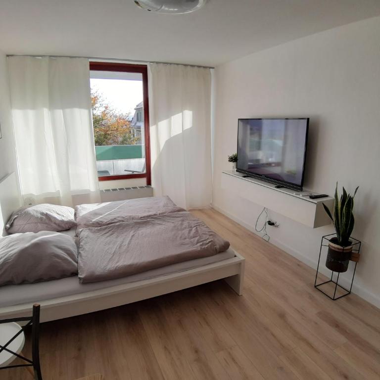 Haubenschloss Apartment Kempten - Apartamento de 1 dormitorio - 4