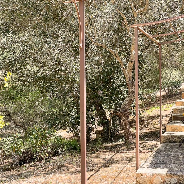 Finca Binifarda Dor - Villa de 5 dormitorios - 41
