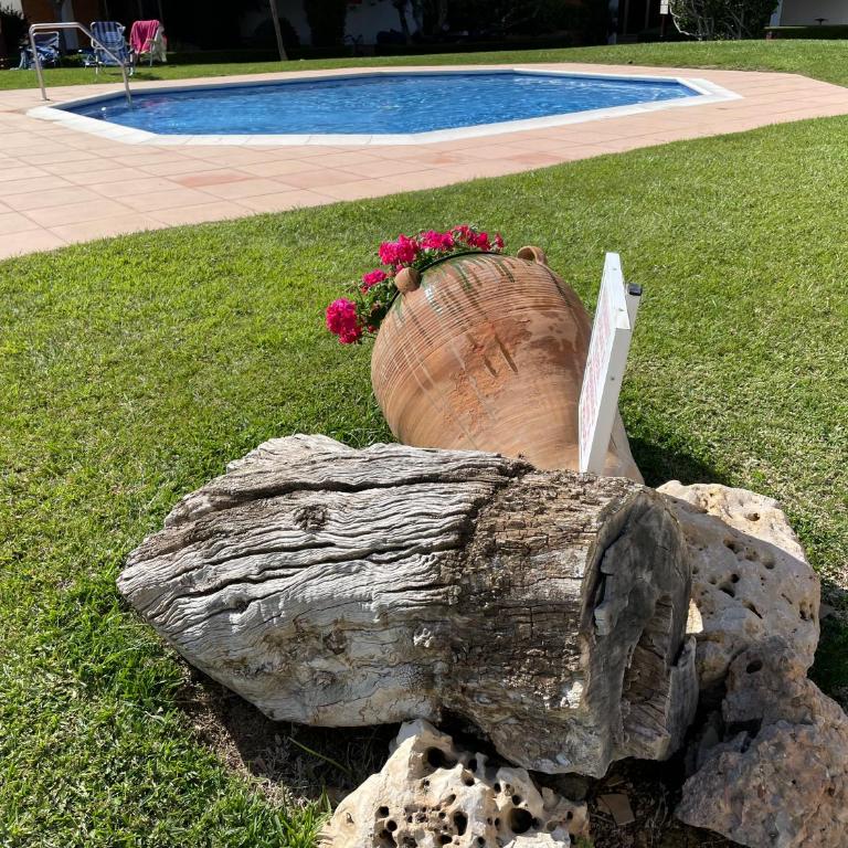 Precioso apartamento con piscina Urbanización Playazul - Apartamento de 2 dormitorios con terraza y vistas al mar - 8