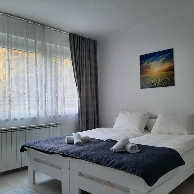 White & Tidy - Apartment Sarajevo - Apartman sa 1 Spavaćom Sobom - 15