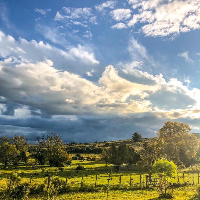 Bungalow de campo Torero - sierras, naturaleza y relax - One-Bedroom House - 26