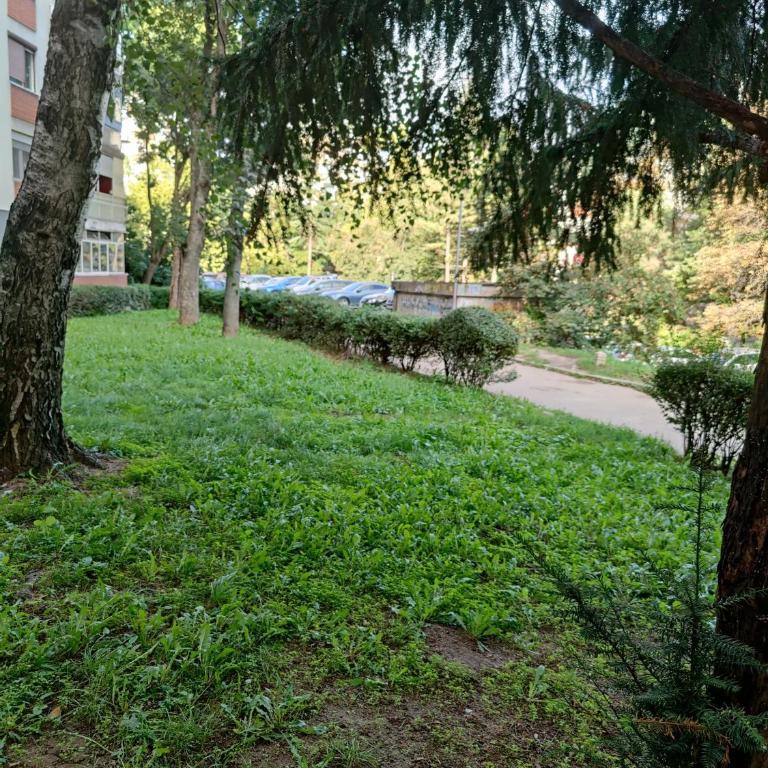 Apartment Miljakovac - Apartman - 31