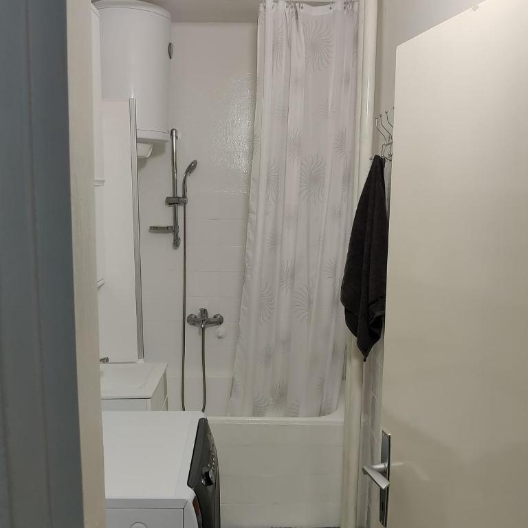 Apartment Miljakovac - Apartman - 24