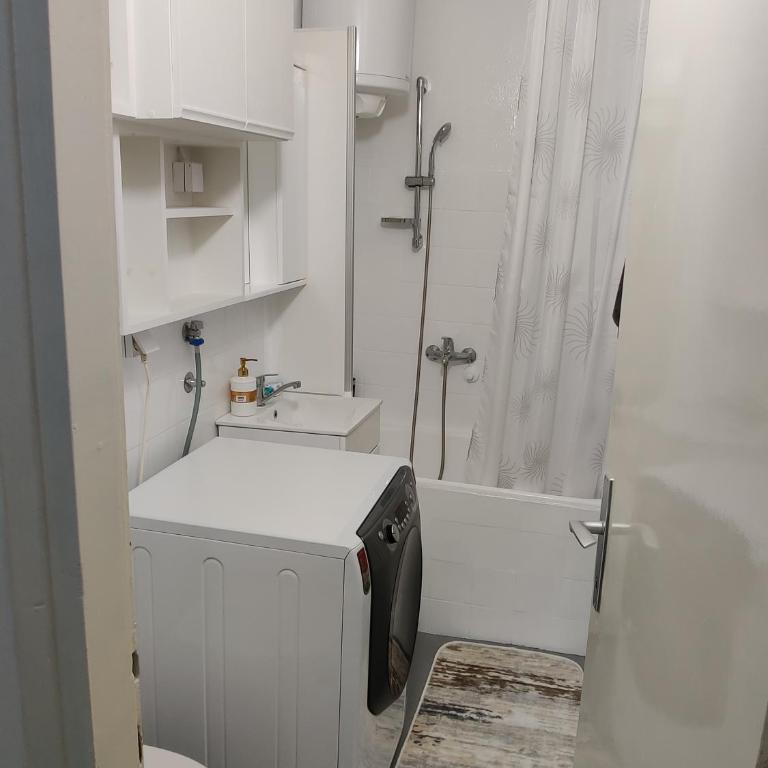 Apartment Miljakovac - Apartman - 26