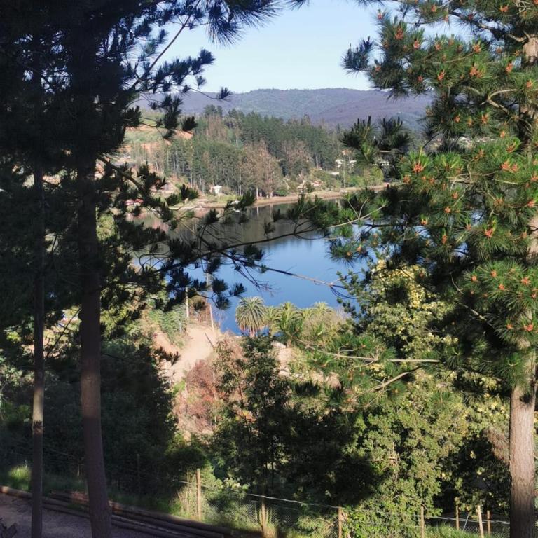 Hermosa cabaña con vista al lago Vichuquén - Three-Bedroom House - 54