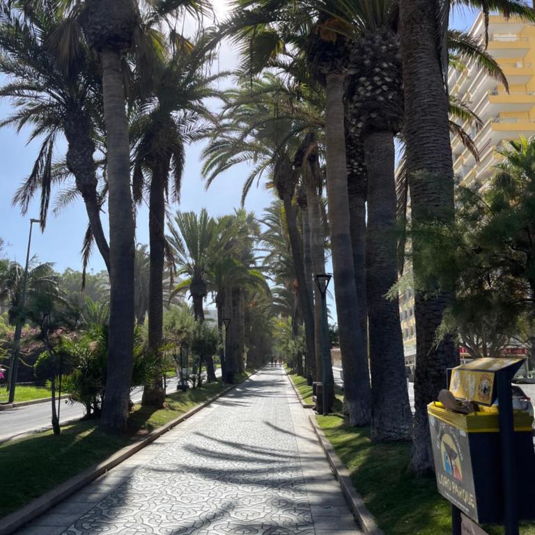 Estudio-SZL - Apartamento de 1 dormitorio - 44