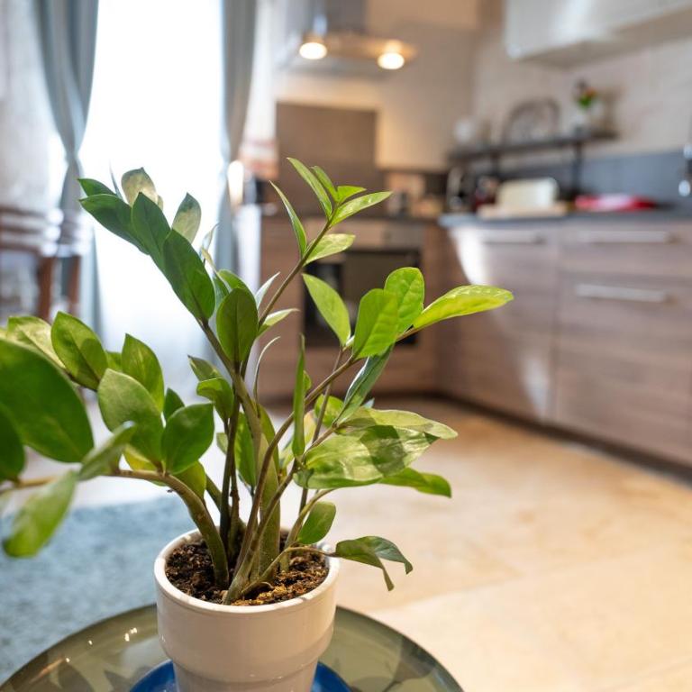 Duplex calme et climatisé au Centre historique - Apartment mit 1 Schlafzimmer - 30