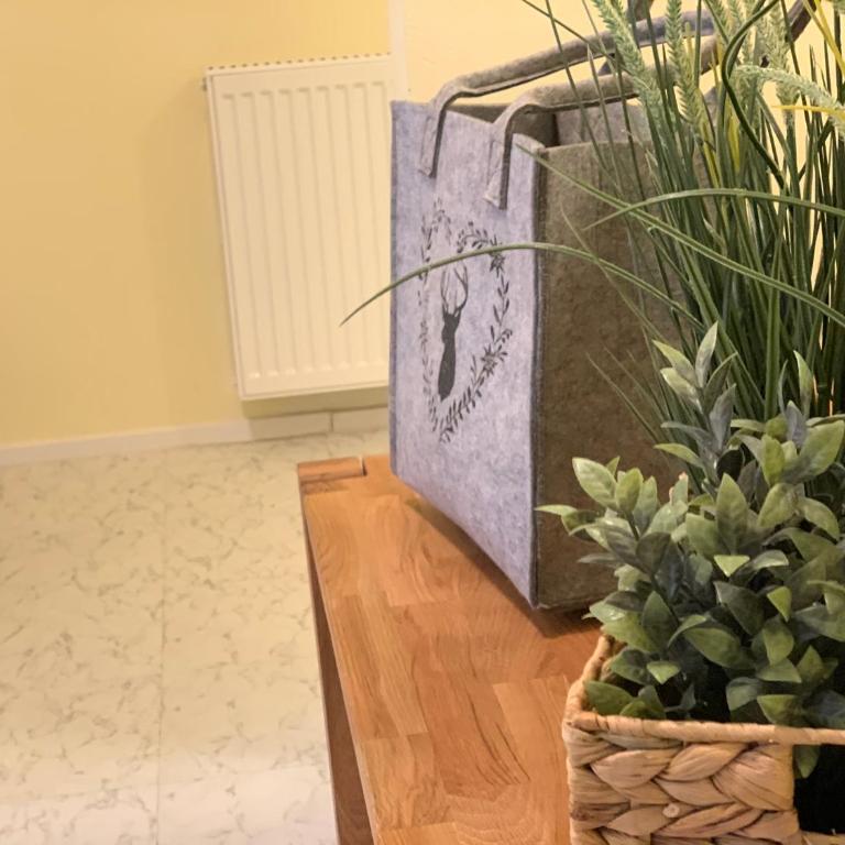 Hernegg Apartment - Casa con 2 Camere da Letto - 2