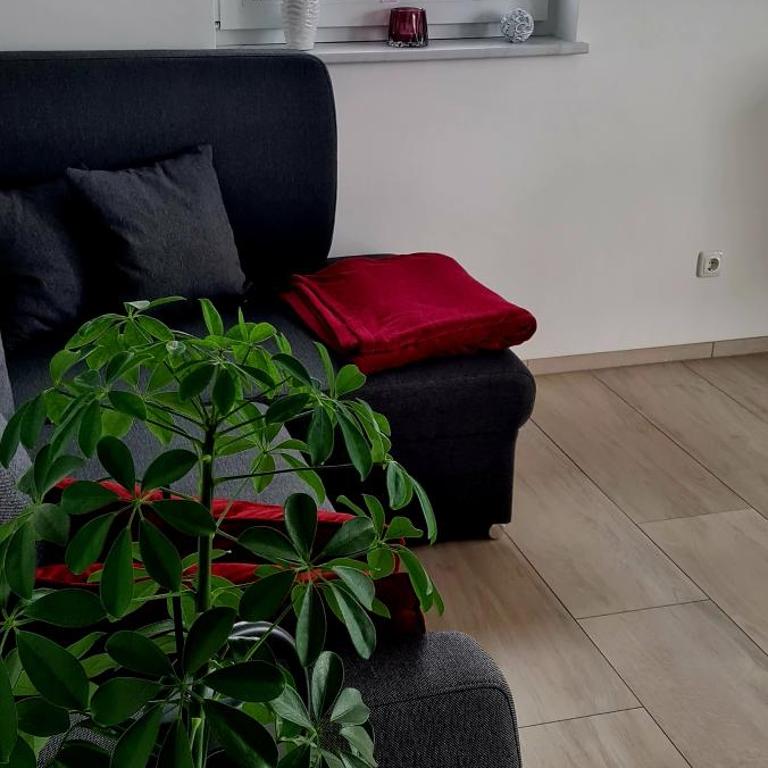 Ferienwohnungen Bergpanorama - Apartment mit 2 Schlafzimmern - 12