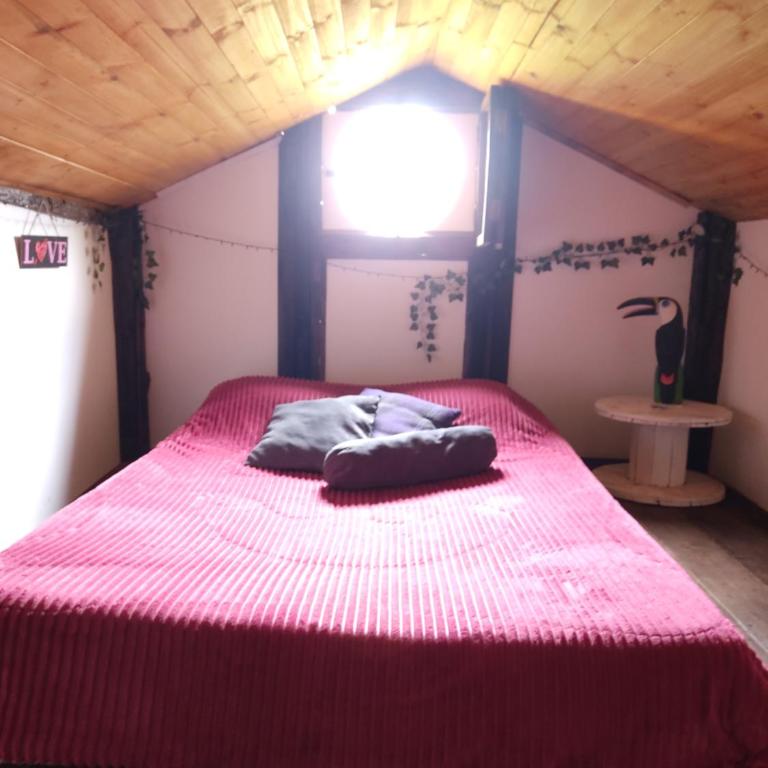 Iwoka Ecoturismo - Economy Double Room - 1