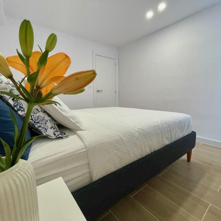 Malibu Park 2115 - Ocean View - Apartamento de 1 dormitorio - 19