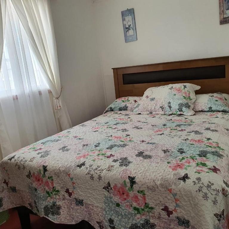 Casa Quelita - Two-Bedroom House - 1