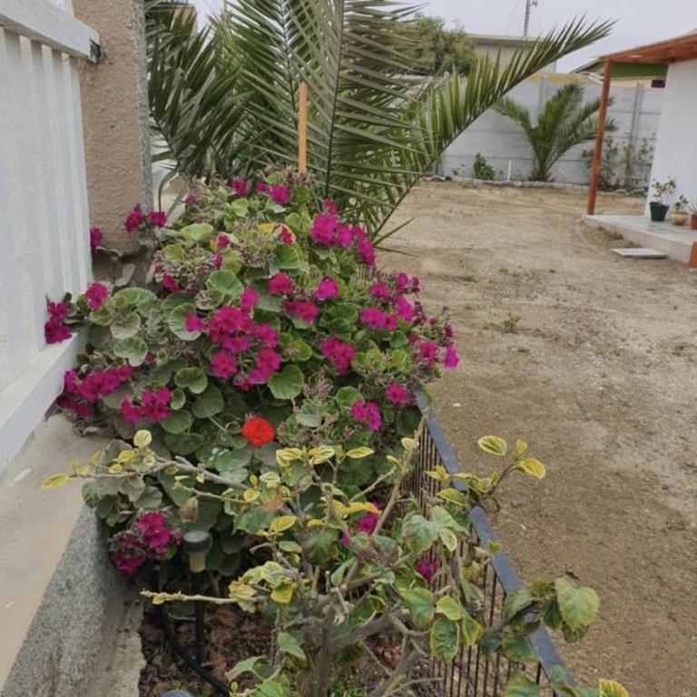 Casa Quelita - Two-Bedroom House - 5