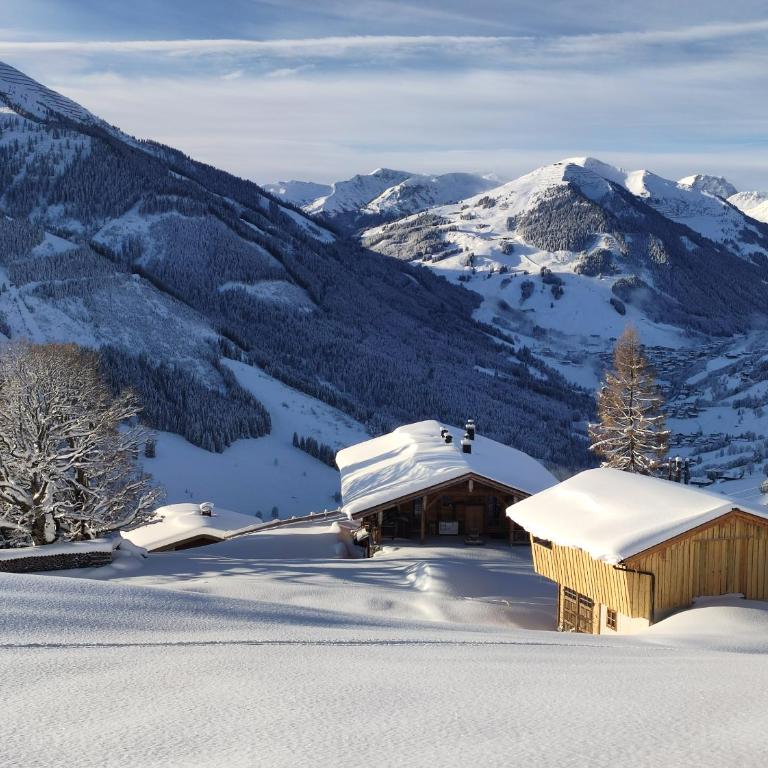 Sinnlehen Alm - Maison 5 Chambres - 92