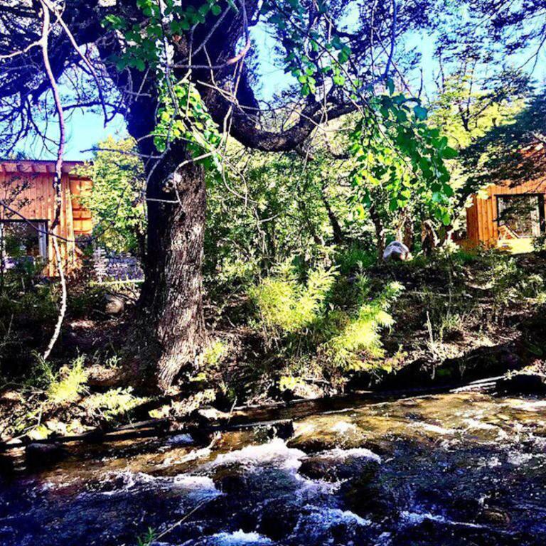 Kingfisher de los Andes - Chalet de 1 dormitorio - 3