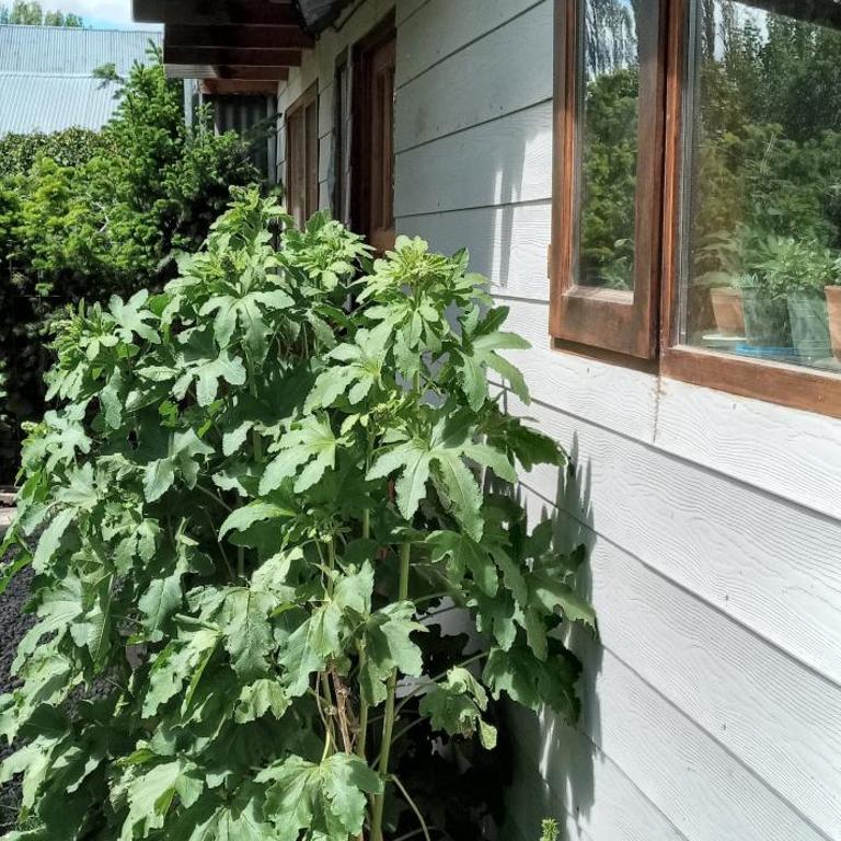 Casa Neruda - Casa de 3 dormitorios - 18