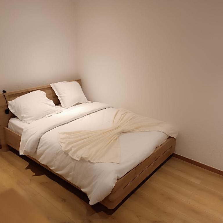 Fribourg - Apartment mit 1 Schlafzimmer - 6