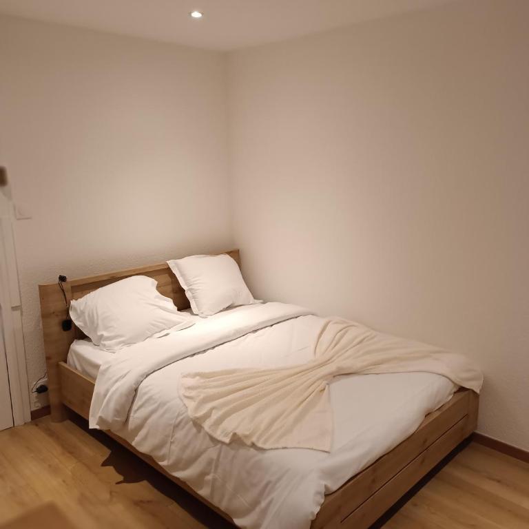 Fribourg - Apartment mit 1 Schlafzimmer - 8