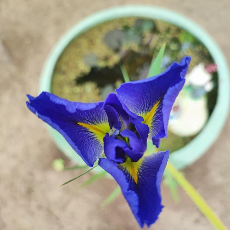 Casa del arroyo - Two-Bedroom House - 43