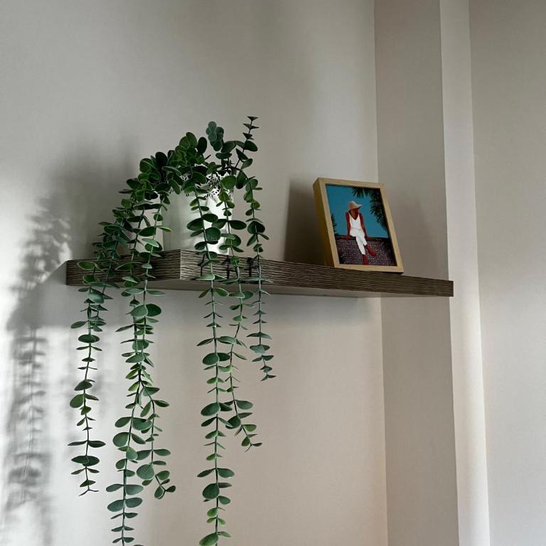 Flou de Pin - Villa 2 Chambres - 23