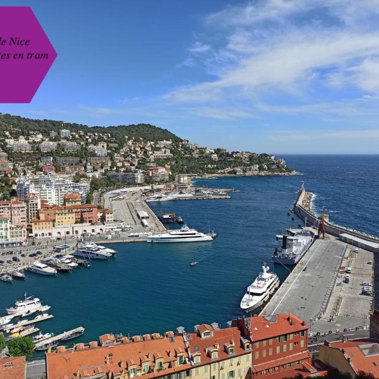 Studio - 1 minute de la plage et de la Promenade des Anglais - Appartement 1 Chambre - 14