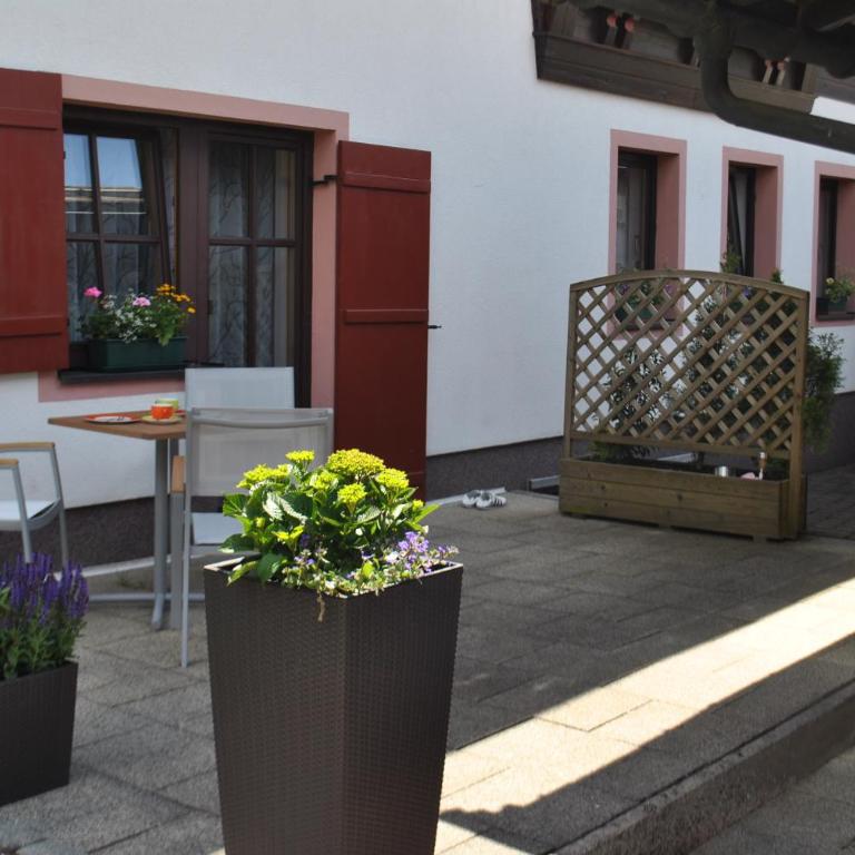 Gästehaus Katharina - Apartment - Erdgeschoss - 6