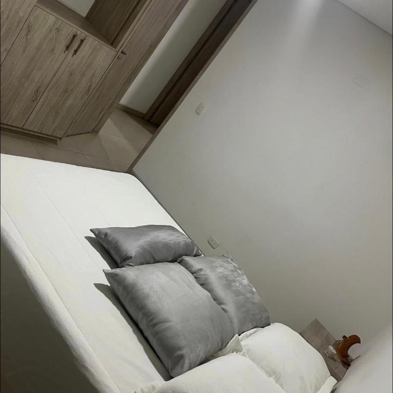 Moderno Penthouse cartago centro vista al rio - Apartamento de 3 dormitorios - 26