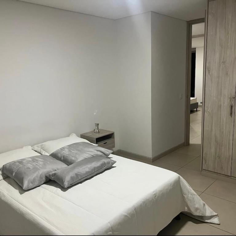 Moderno Penthouse cartago centro vista al rio - Apartamento de 3 dormitorios - 32