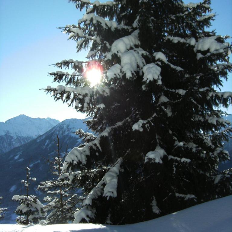 Apartment Hohe Tauern - Apartment mit 2 Schlafzimmern - 30