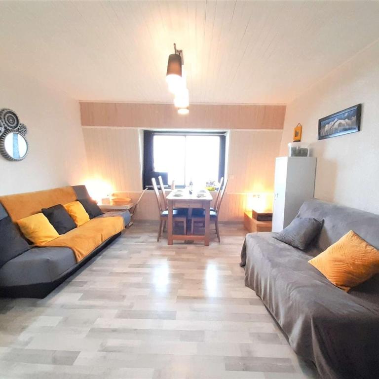 Chalet cosy 4 pers à 800m des pistes - TV, kitchenette équipée, navette gratuite vacances. - FR-1-457-308 - Apartment - 2