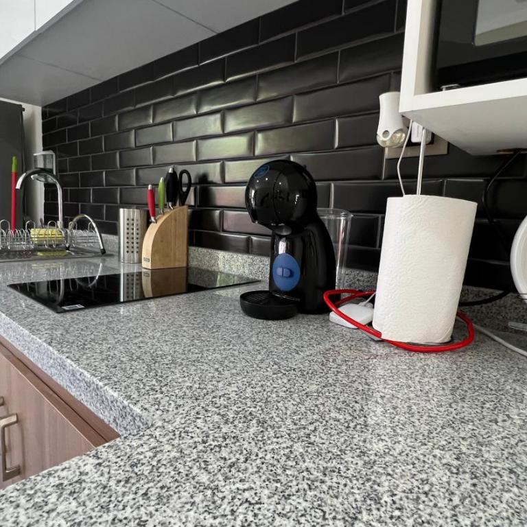 Rengo Central Market - One-Bedroom Apartment - 21