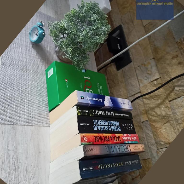 Vorkapich Milmari Studio - Apartman sa 1 Spavaćom Sobom - 8