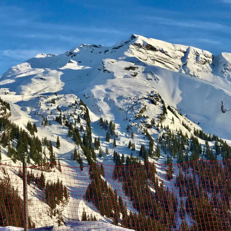 Luxury Avoriaz Chalet with hot tub - Chalet 4 Chambres (10 Adultes) - 37