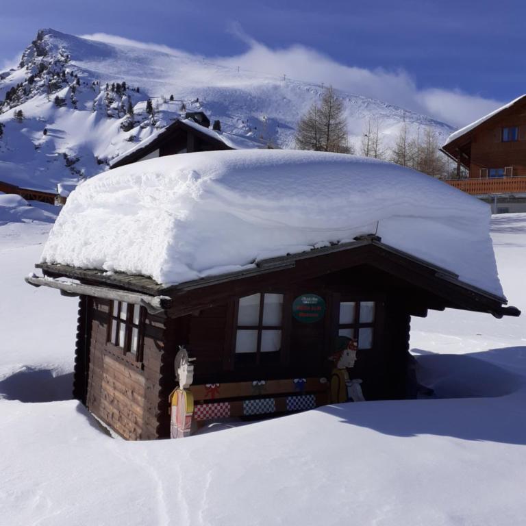 Chalet Catton Four bedroom appartement near Bad Kleinkirchheim - Apartment mit 4 Schlafzimmern - 11