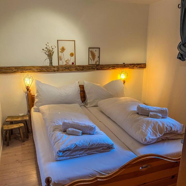 Ferienwohnung in den Bergen mit grosser Terrasse - Apartment mit 1 Schlafzimmer - 10